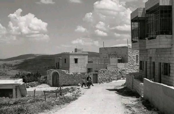 قرية سنجل عام 1968 / رام الله