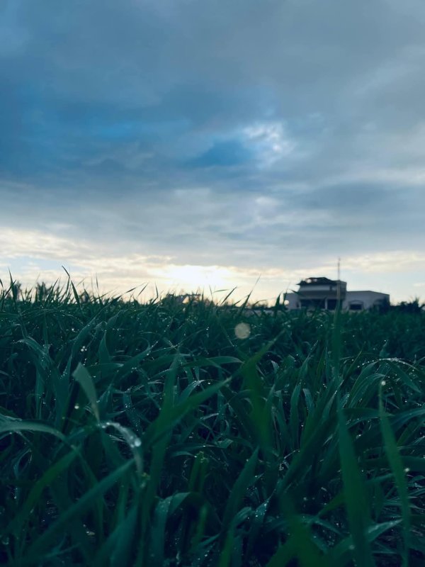 صور صباح أول يوم من شهر رمضان المبارك من أراضي بلدة خزاعة جنوب شرقي محافظة خانيونس، بعدسة: Hisham Mutlak