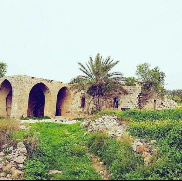  | موسوعة القرى الفلسطينية