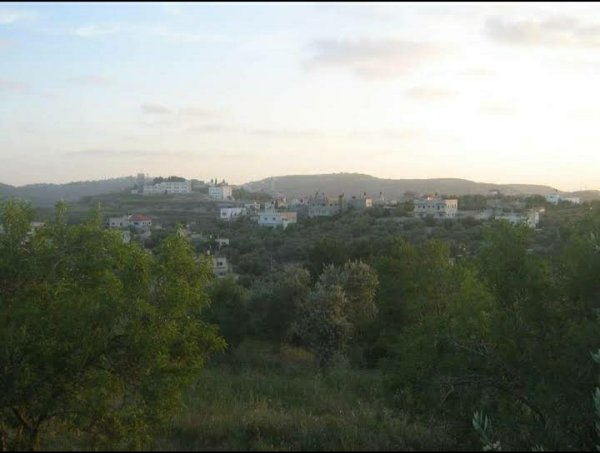  | موسوعة القرى الفلسطينية