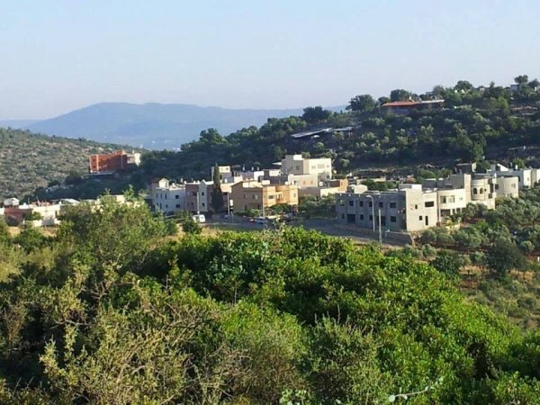 قرية الحسينية / عكا