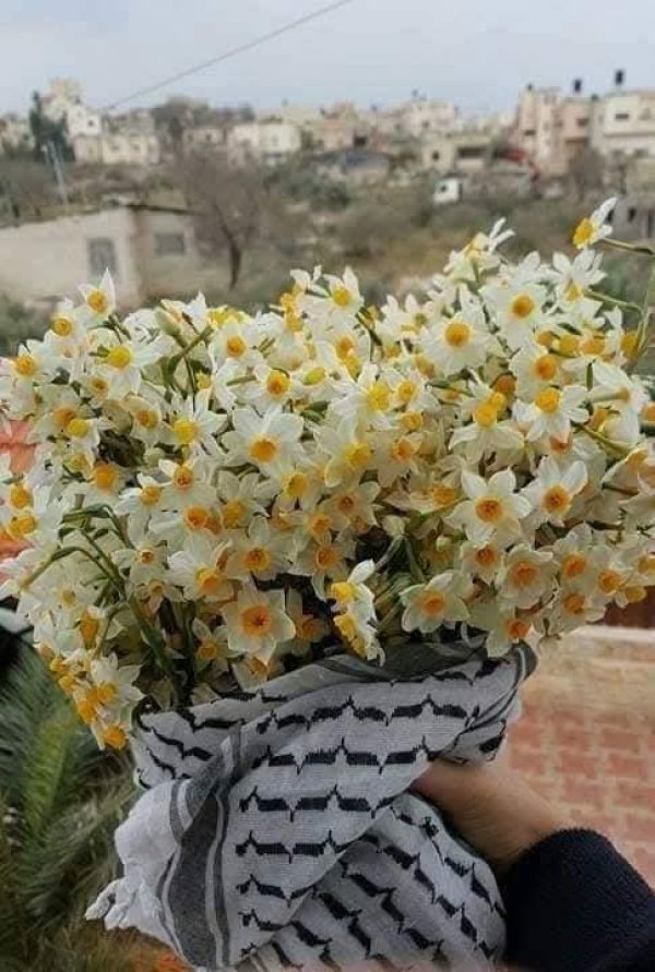  | موسوعة القرى الفلسطينية