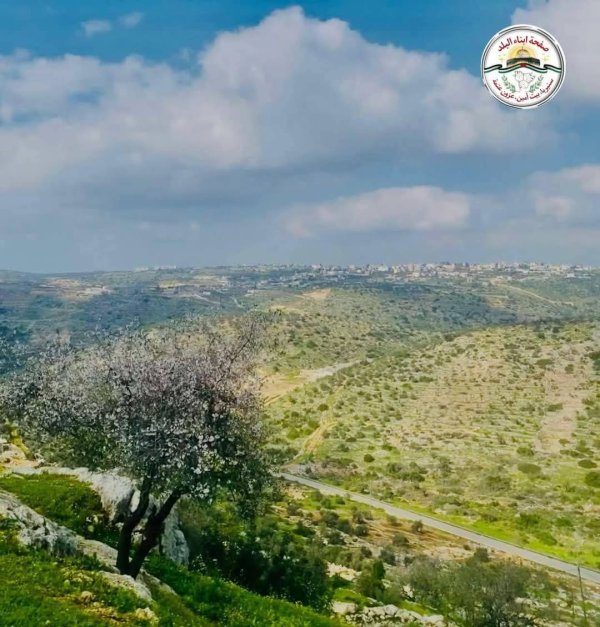  | موسوعة القرى الفلسطينية