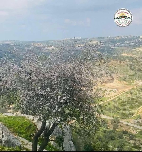  | موسوعة القرى الفلسطينية