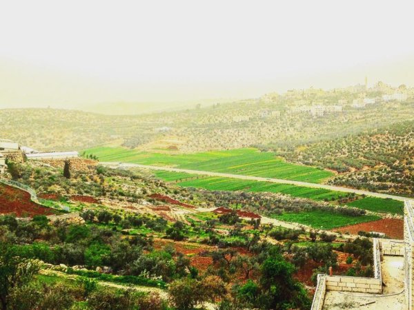  | موسوعة القرى الفلسطينية