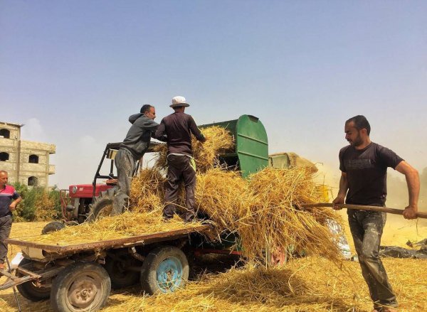  | موسوعة القرى الفلسطينية