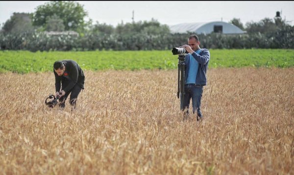  | موسوعة القرى الفلسطينية