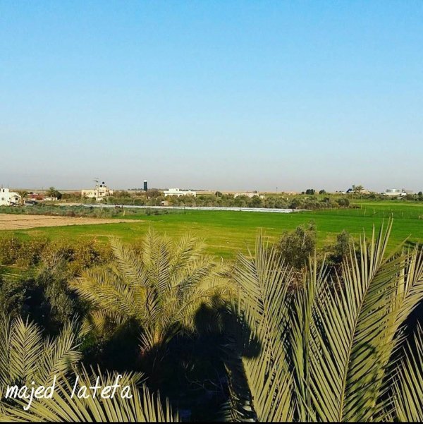  | موسوعة القرى الفلسطينية