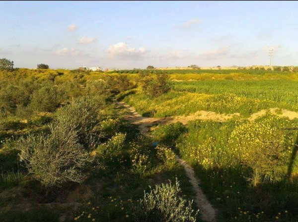  | موسوعة القرى الفلسطينية