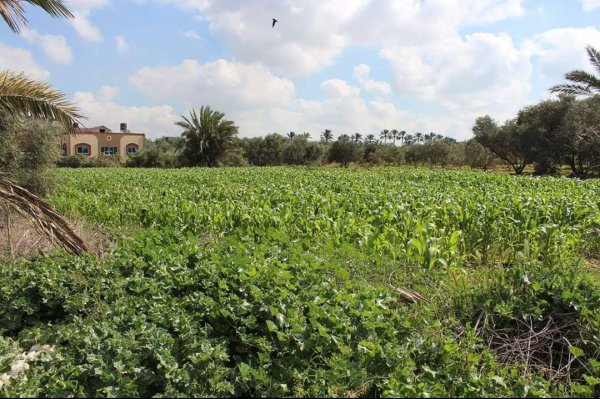  | موسوعة القرى الفلسطينية