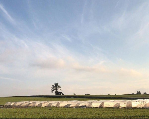  | موسوعة القرى الفلسطينية