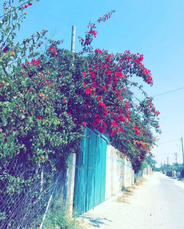  | موسوعة القرى الفلسطينية