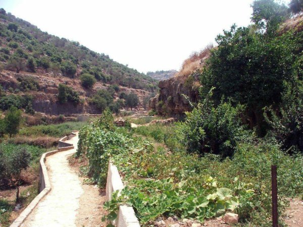  | موسوعة القرى الفلسطينية