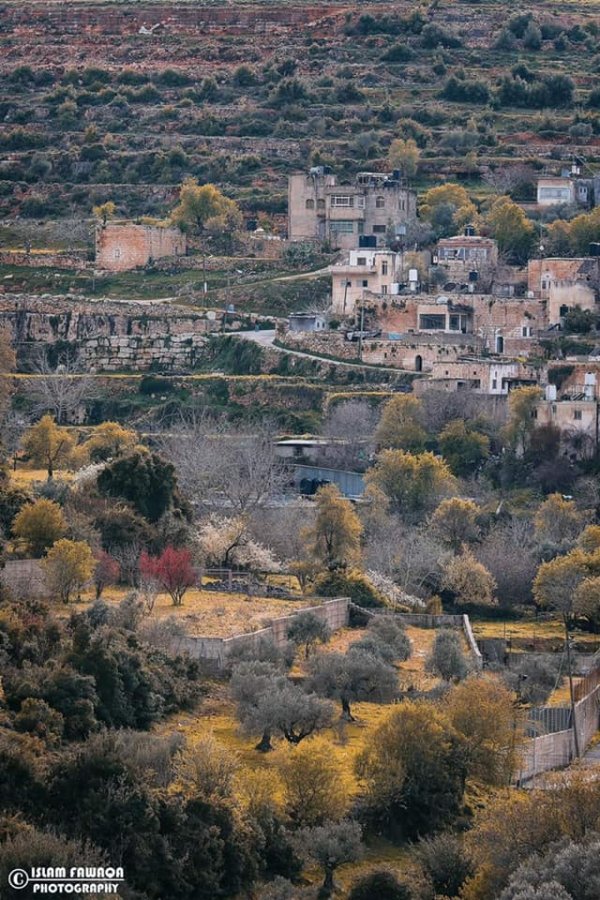  | موسوعة القرى الفلسطينية