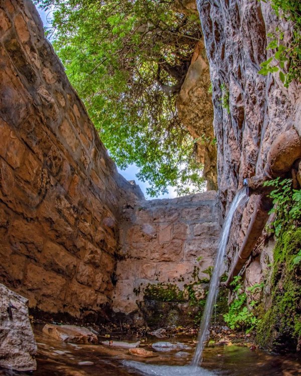  | موسوعة القرى الفلسطينية