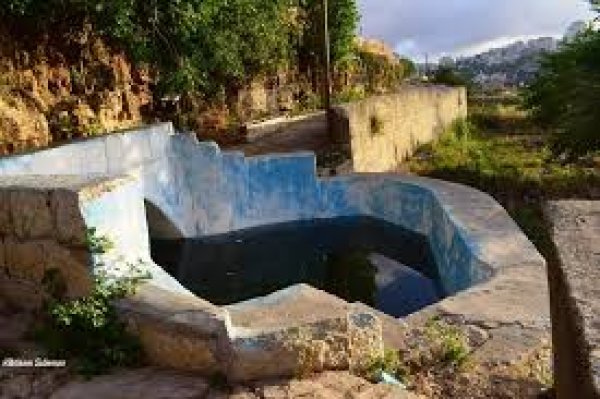  | موسوعة القرى الفلسطينية