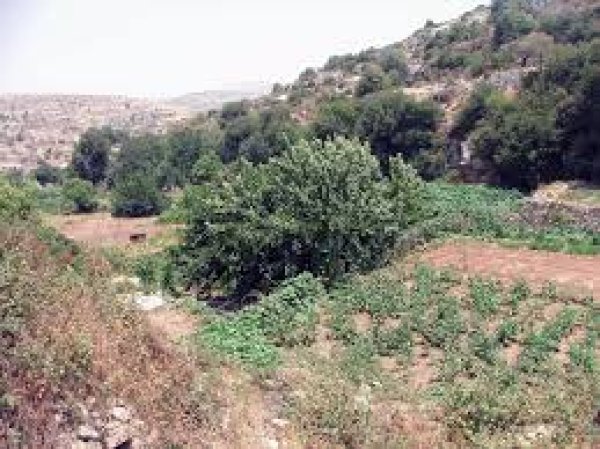  | موسوعة القرى الفلسطينية