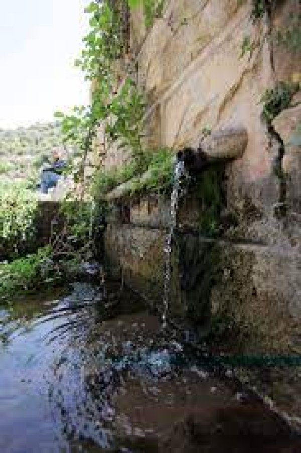  | موسوعة القرى الفلسطينية