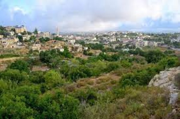  | موسوعة القرى الفلسطينية