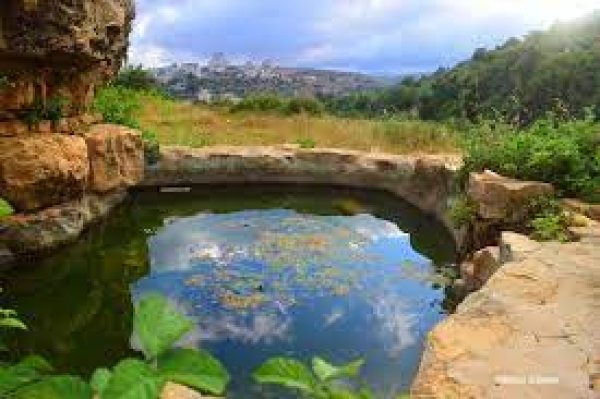  | موسوعة القرى الفلسطينية