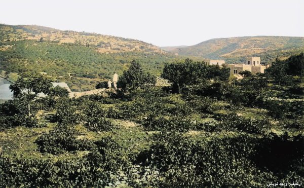  | موسوعة القرى الفلسطينية