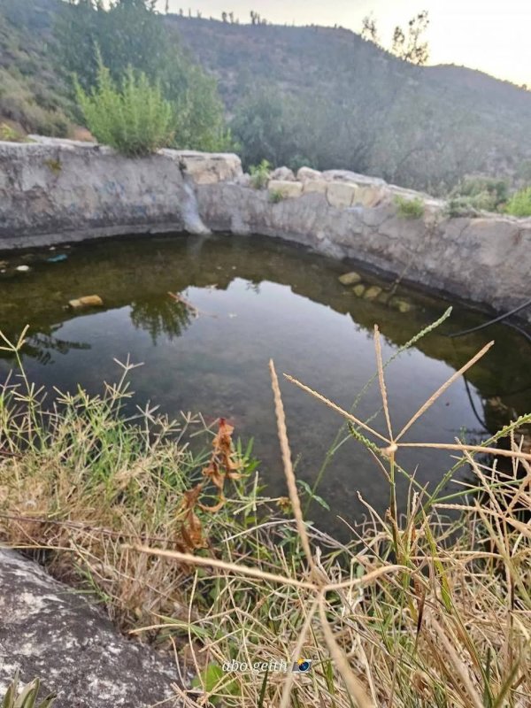 عين الكلبة هي واحدة من العديد من العيون الجميلة التي تزين قرية دير السودان رام الله. تشتهر هذه القرية بمناخها المعتدل وطبيعتها الخلابة، وتعتبر عين الكلبة جزءًا لا يتجزأ من هذا الجمال تصوير : Abo Geith