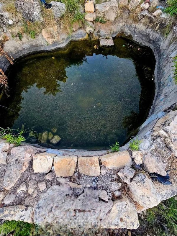 عين الكلبة هي واحدة من العديد من العيون الجميلة التي تزين قرية دير السودان رام الله. تشتهر هذه القرية بمناخها المعتدل وطبيعتها الخلابة، وتعتبر عين الكلبة جزءًا لا يتجزأ من هذا الجمال تصوير : Abo Geith