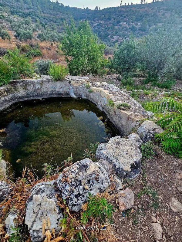 عين الكلبة هي واحدة من العديد من العيون الجميلة التي تزين قرية دير السودان رام الله. تشتهر هذه القرية بمناخها المعتدل وطبيعتها الخلابة، وتعتبر عين الكلبة جزءًا لا يتجزأ من هذا الجمال تصوير : Abo Geith