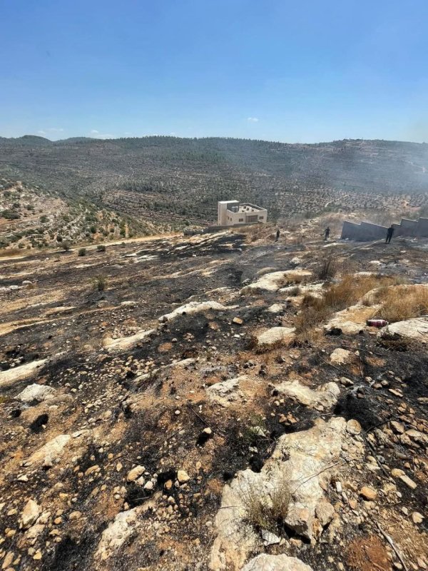 صور من أراضي قرية دير السودان، نقلاً عن صفحة مجلس قروي دير السودان