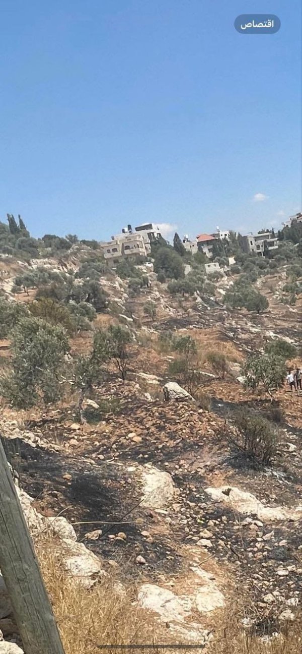 صور من أراضي قرية دير السودان، نقلاً عن صفحة مجلس قروي دير السودان