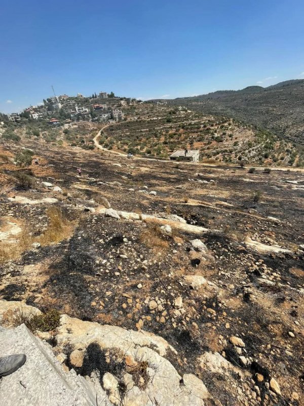 صور من أراضي قرية دير السودان، نقلاً عن صفحة مجلس قروي دير السودان