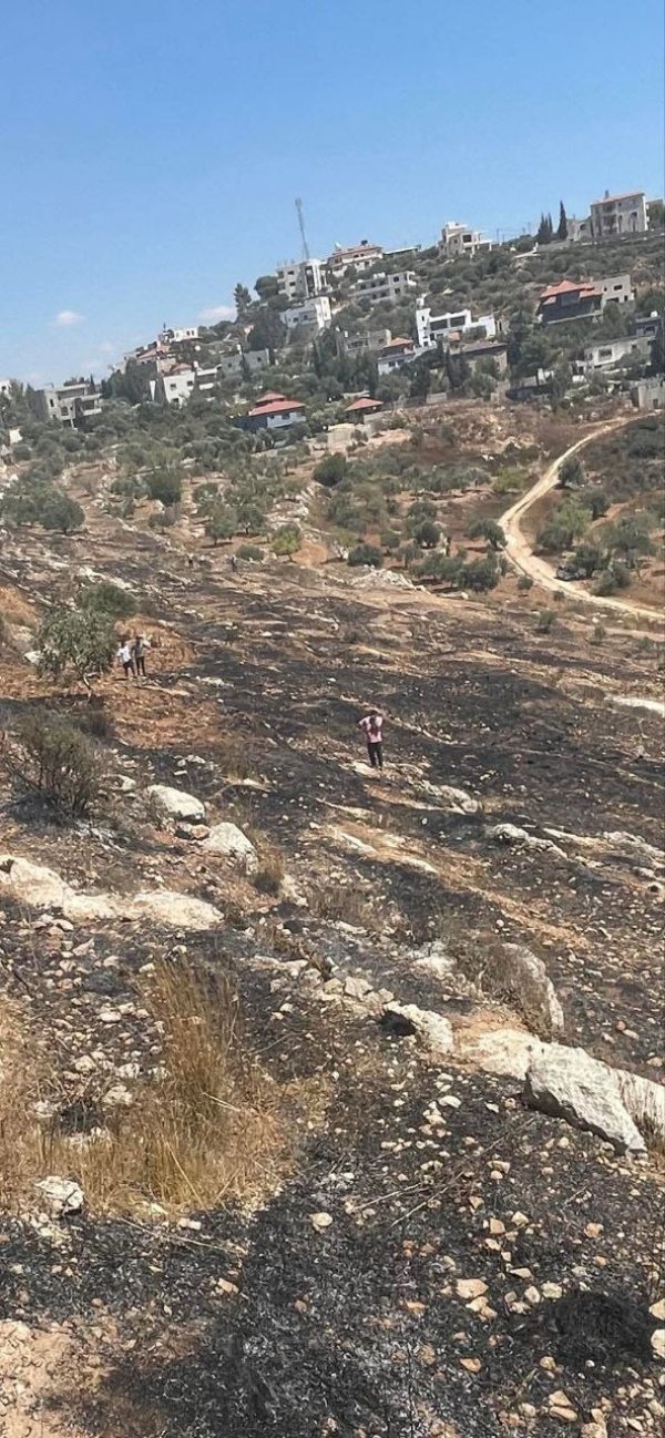 صور من أراضي قرية دير السودان، نقلاً عن صفحة مجلس قروي دير السودان