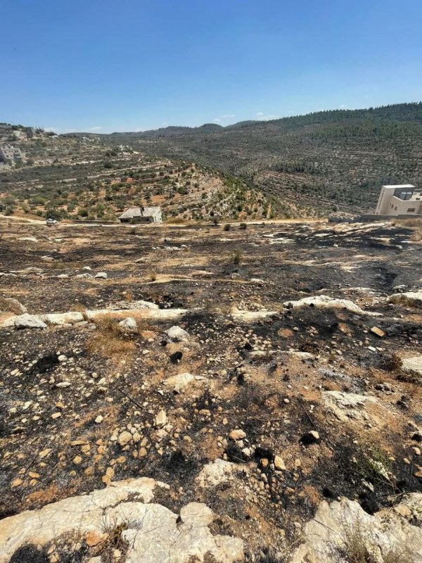 صور من أراضي قرية دير السودان، نقلاً عن صفحة مجلس قروي دير السودان