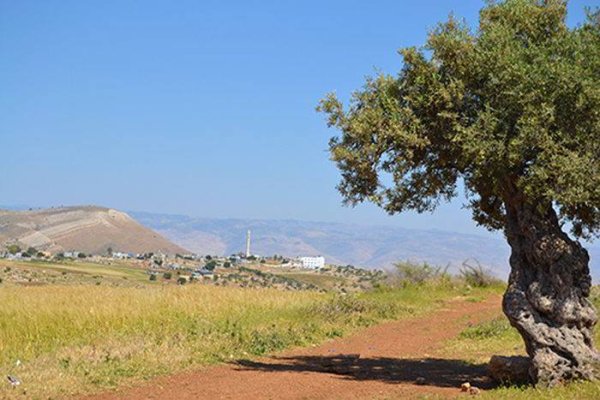 قرية العقبة / مدينة طوباس