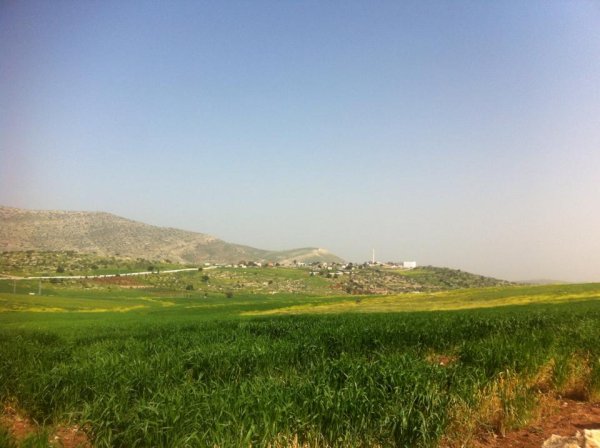 قرية العقبة / مدينة طوباس