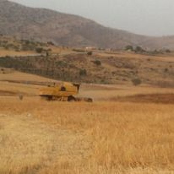 قرية العقبة / مدينة طوباس