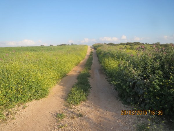 قرية العقبة / مدينة طوباس