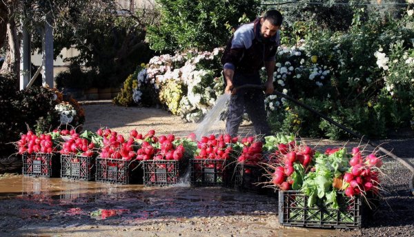  | موسوعة القرى الفلسطينية