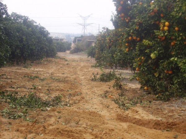 قرية بير سالم / الرملة