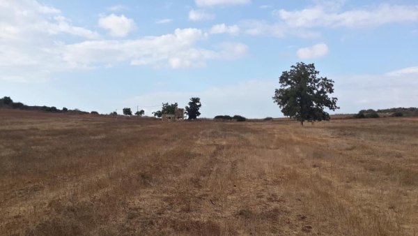 قرية بير سالم / الرملة