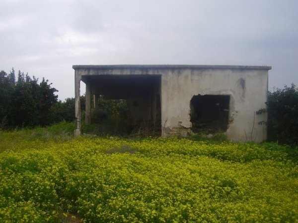 قرية بير سالم / الرملة