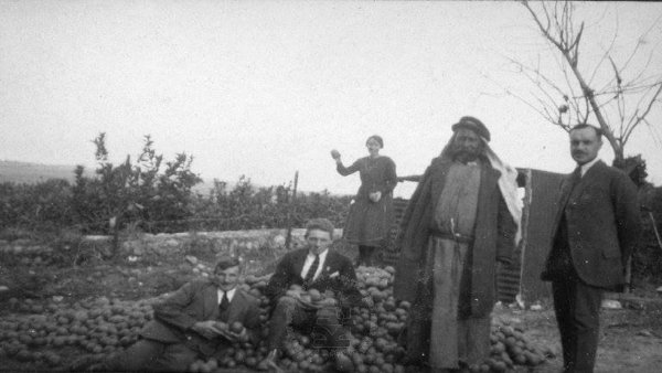 صورة تاريخية لموسم البرتقال في قرية بير سالم الفلسطينية