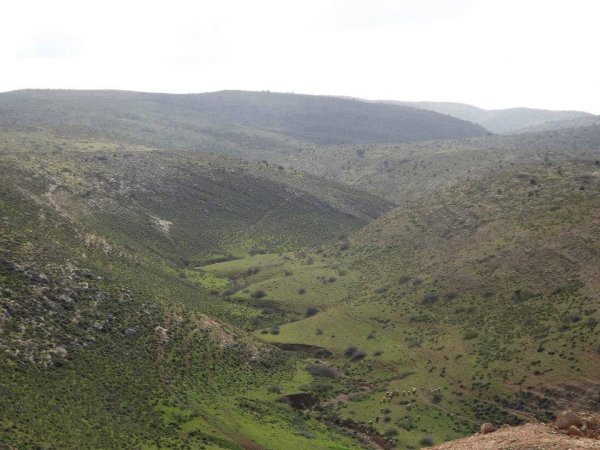 قرية بردلة / مدينة طوباس