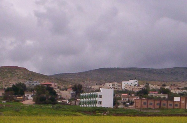 قرية بردلة / مدينة طوباس