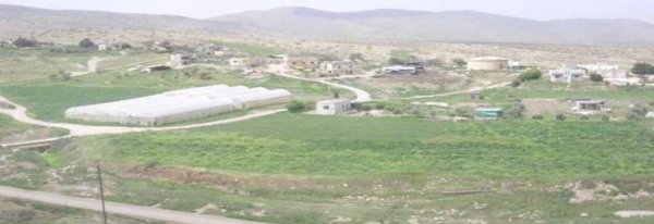 قرية بردلة / مدينة طوباس