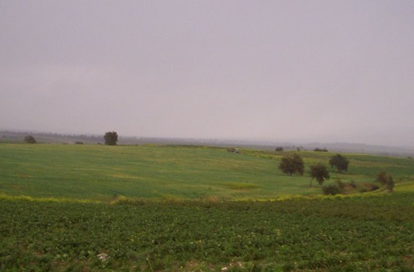 قرية بردلة / مدينة طوباس