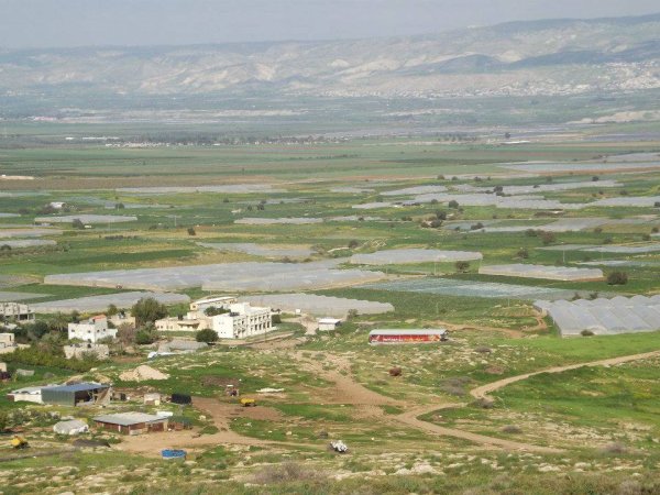 قرية بردلة / مدينة طوباس