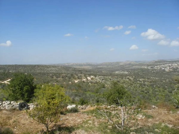  | موسوعة القرى الفلسطينية