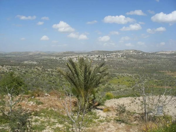  | موسوعة القرى الفلسطينية