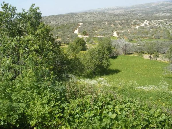  | موسوعة القرى الفلسطينية